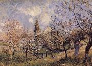 Alfred Sisley Orchard in Sping-By oil on canvas